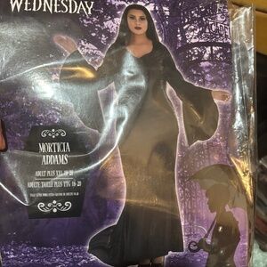 Morticia Adams Black Long Dress Costume